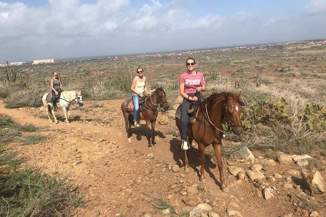 Aruba Horseback Riding Tour to Hidden Lagoon - The Sum Up