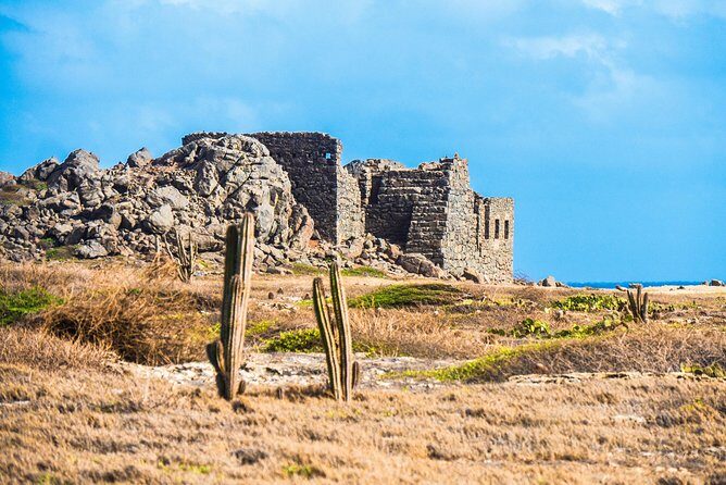 Aruba Island Sightseeing Tour Plus Arashi Beach Visit - What Past Travelers Say