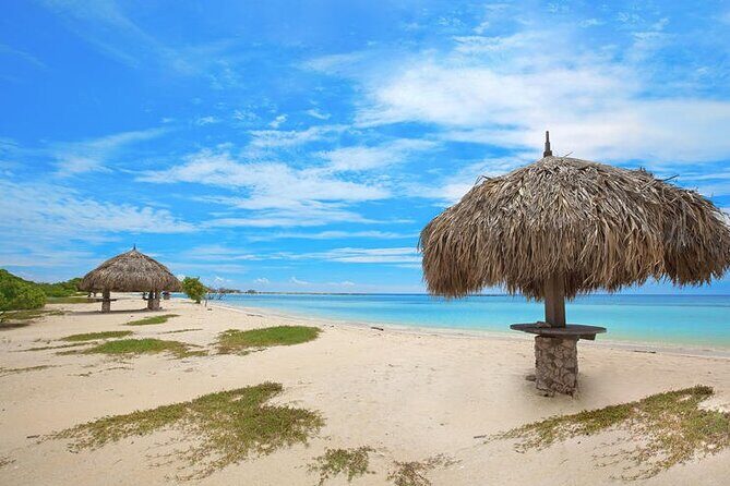 Aruba Jeep Tour: Natural Pool, Caves and Baby Beach Adventure - Introduction