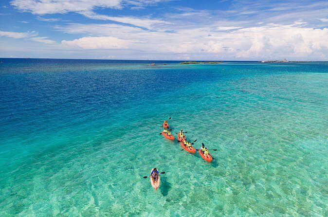 Aruba Kayak Explorers - Authentic Experiences and Honest Insights