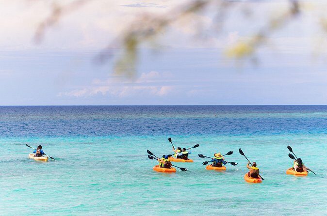 Aruba Kayak Explorers - Pricing and Value