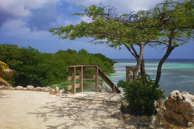 Aruba Mangel Halto and Baby Beach Snorkeling Guided Tour - Who Should Consider This Tour?