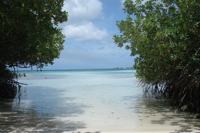 Aruba Mangel Halto and Baby Beach Snorkeling Guided Tour - Final Words