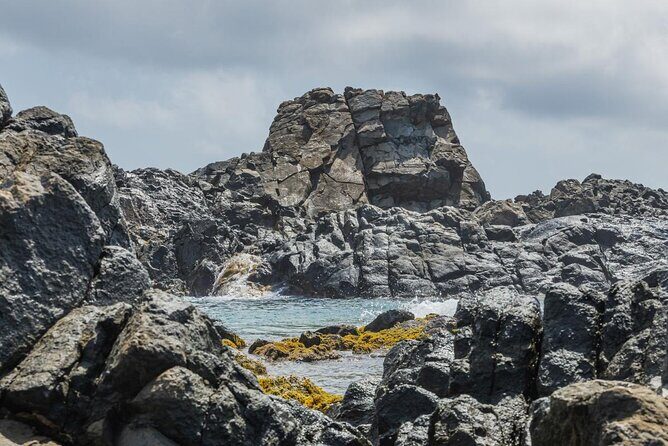 Aruba National Park Tour with Natural Pool & Baby Beach Snorkel - Exploring Aruba’s Natural Beauty