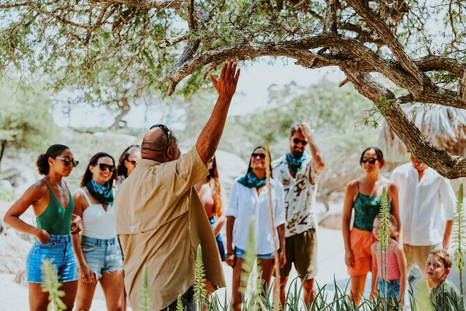 Aruba Natural Wonders Caves and Natural Pool Jeep Tour - Who Would Love This Tour?