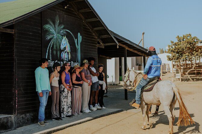 Aruba North Coastline: Small-Group Horseback Riding Tour - Final Thoughts: Is It Worth It?