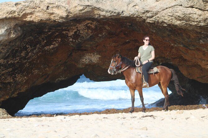 Aruba North Coastline: Small-Group Horseback Riding Tour - In The Sum Up