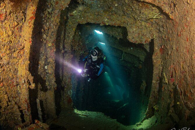 Aruba One or Two Tank Scuba Dive - Why Choose the Aruba One or Two Tank Scuba Tour?