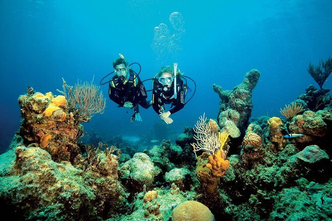 Aruba One or Two Tank Scuba Dive - Practical Considerations for Travelers