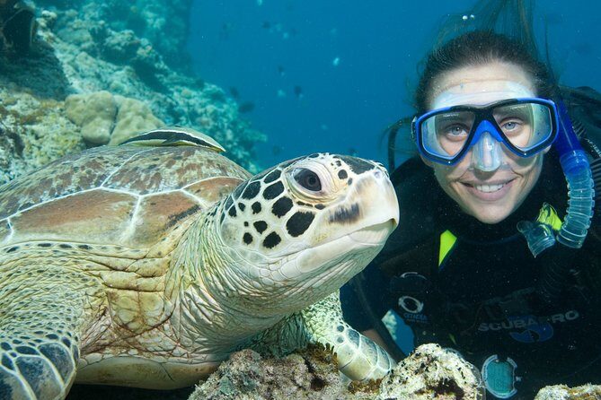 Aruba One or Two Tank Scuba Dive - Final Words