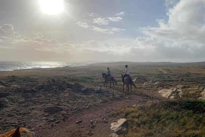 Aruba Private, 2 Hour Horseback Riding Tour For Advanced Riders - Final Thoughts: Who Should Consider This Tour?
