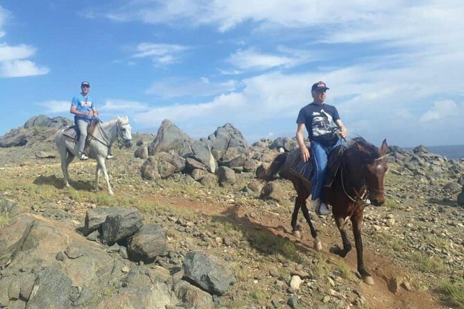 Aruba Private, 2 Hour Horseback Riding Tour For Advanced Riders - Frequently Asked Questions