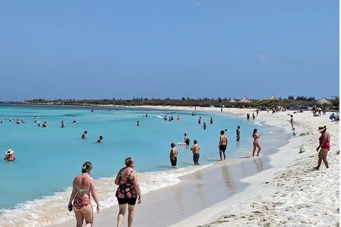 Aruba Private Tour with SeaFood/Caribbean Food Included - Exploring Aruba: A Personalised Journey