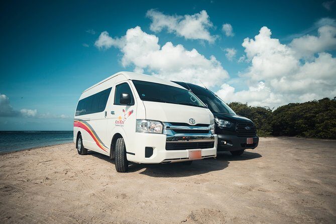 Aruba Private Van Airport Transfer (Max 5) - Who Is This Transfer Best For?