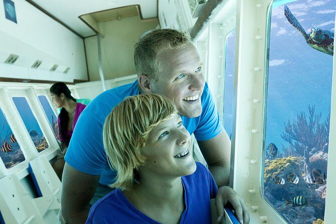 Aruba Semi-Submarine Cruise from Palm Beach - Who Should Consider This Tour?