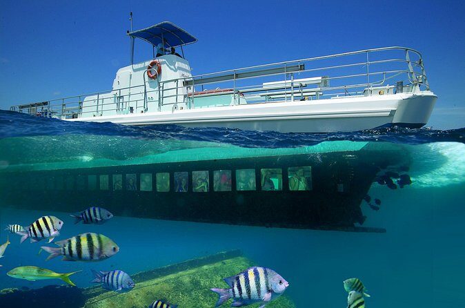 Aruba Semi-Submarine Cruise from Palm Beach - Practical Tips for Travelers