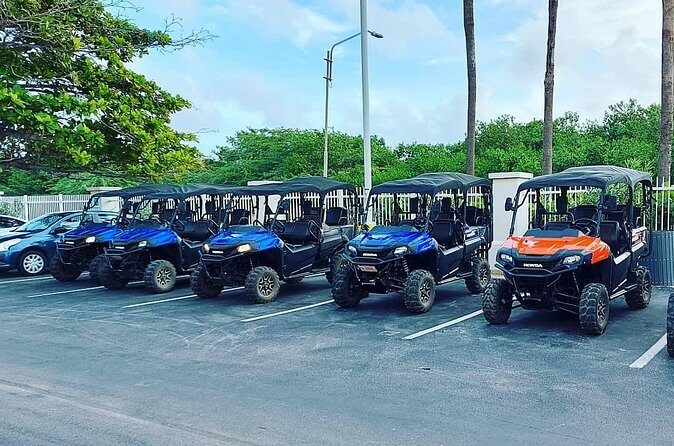 Aruba UTV Rental: 4-Seater for Adventure Exploration - FAQ