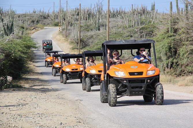 Aruba UTV Tour with Natural Cave Pool and Cliff Jumping - FAQ