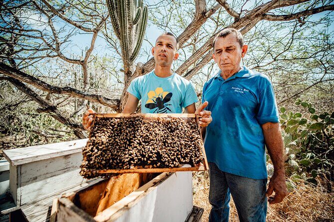 Aruba´s Bee Haven Private Adventure - What to Expect on Aruba’s Bee Haven Private Adventure