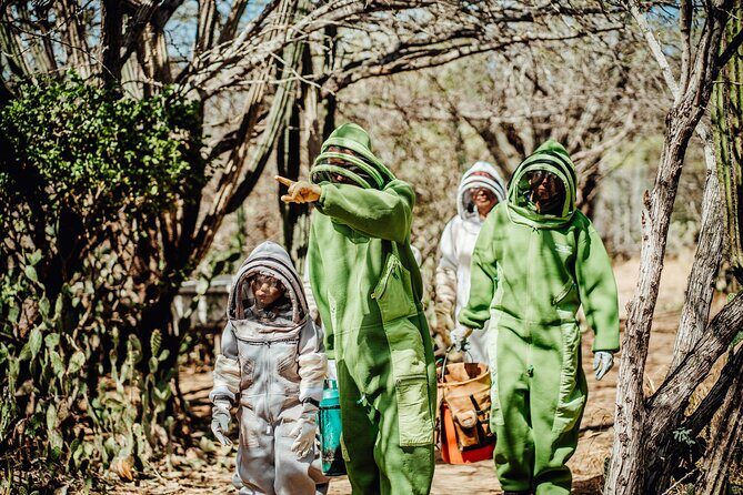 Aruba´s Bee Haven Private Adventure - Group Size, Duration, and Practicalities