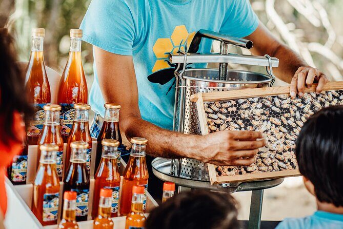 Aruba´s Bee Haven Private Adventure - Authentic Insights from Visitors