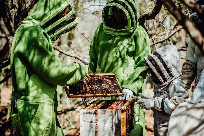 Aruba´s Bee Haven Private Adventure - Who Will Love This Tour?