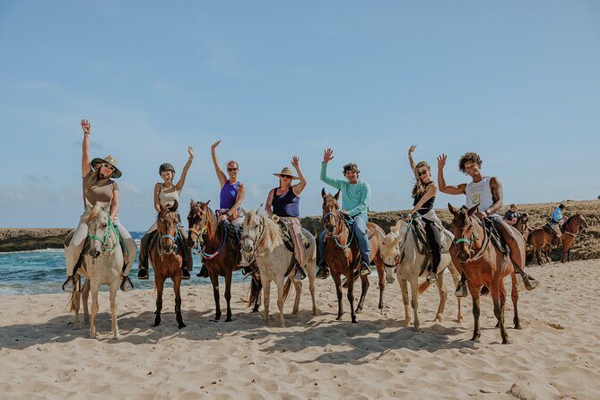 Aruba's Northern Coast Horseback Adventure - Discovering Aruba’s Northern Coast: What to Expect