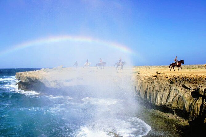 Aruba's Northern Coast Horseback Adventure - The Sum Up: Why This Experience is Worth Considering