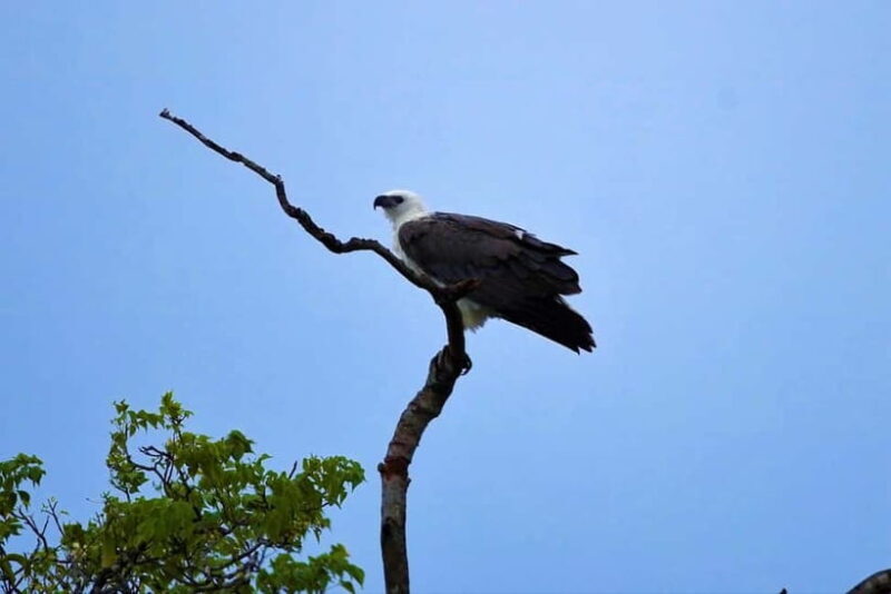 Arugambay :Pottuvil Lagoon Mangrove Eco Boat Safari Tours - FAQ
