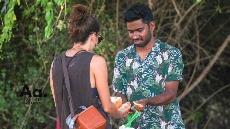 Arugambay to Yala: Wild Safari + Drop-off Flexibility - Final Thoughts