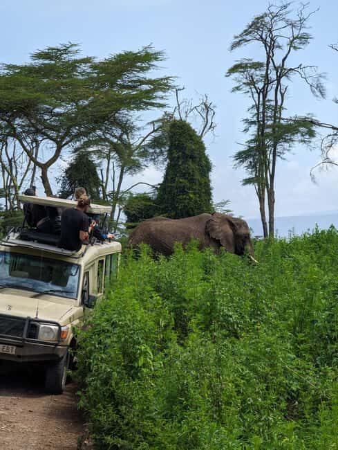 Arusha: 1-Day Safari to Tarangire National Park - Who Should Consider This Tour?