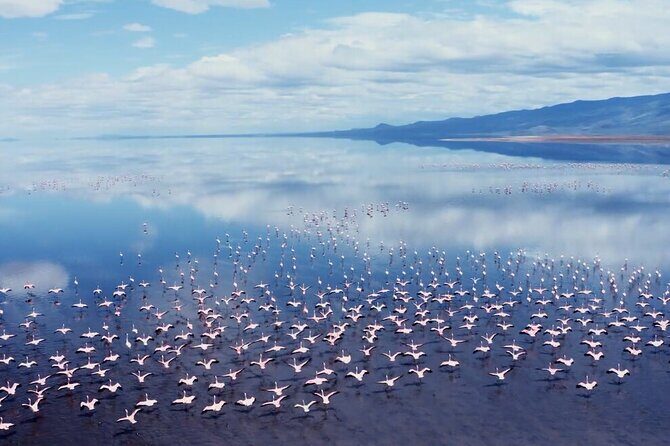 Arusha: 3-Day Safari Tarangire, Flamingo Walk Lake Natron Tour - FAQ