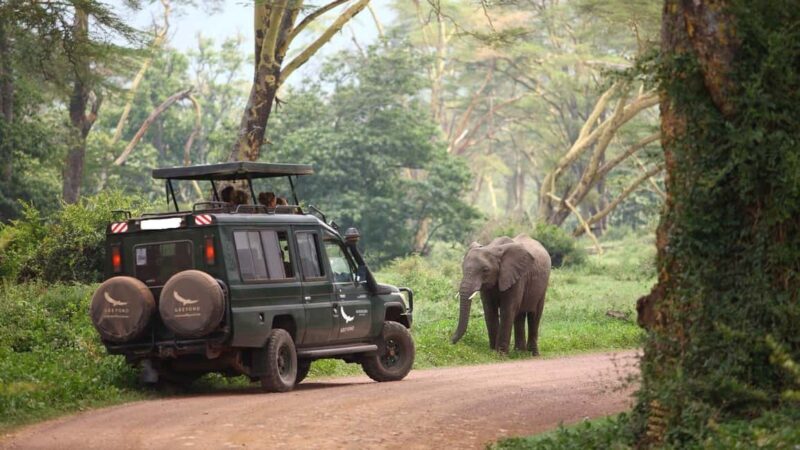 Arusha: 3-Day Safari to Tarangire, Ngorongoro & Lake Manyara - A Closer Look at the Itinerary