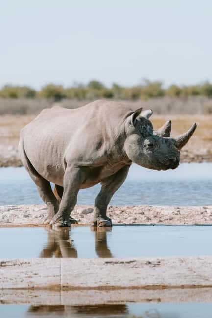 Arusha: 3-Day Tanzania Budget-Friendly Camping Safari - An Honest Look at the 3-Day Tanzanian Safari