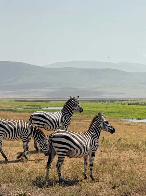 Arusha: 3-Day Tanzania Budget-Friendly Camping Safari - FAQs