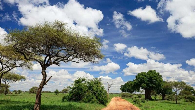 Arusha: 3-Day Tarangire National Park & Lake Natron Tour - An In-Depth Look at the 3-Day Tanzania Tour
