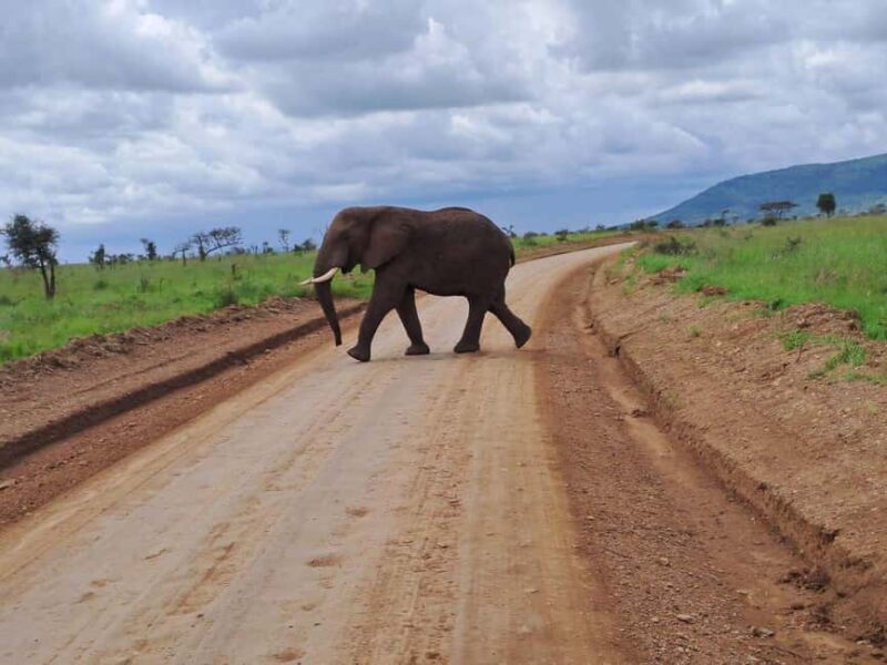 Arusha: 3-Day Tarangire, Ngorongoro & Manyara Safari - A Closer Look at the 3-Day Itinerary