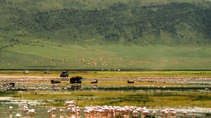 Arusha: 3Day Tanzanian Treasures Safari,Ngorongoro,Tarangire - The Sum Up