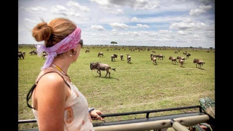Arusha: 4-Day Ndutu Migration Safari and Ngorongoro Crater - An In-Depth Look at the Tour