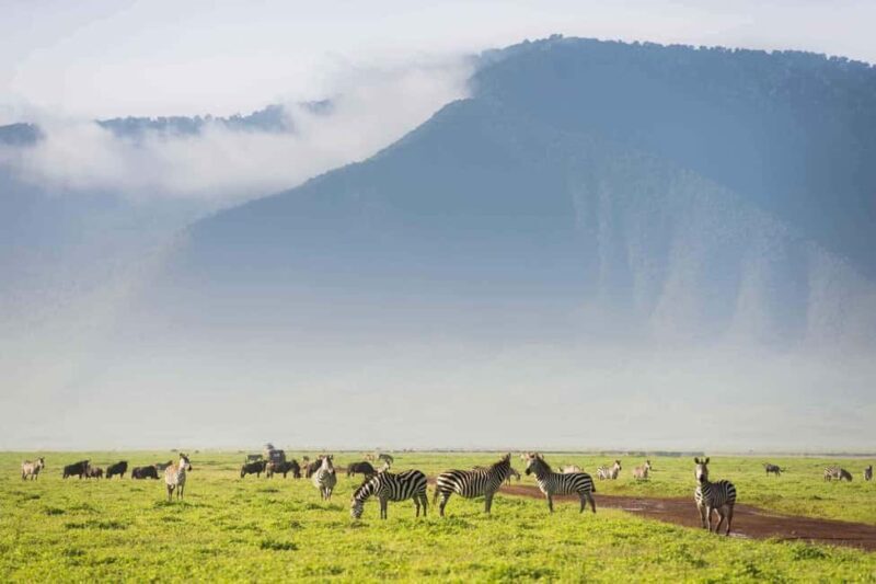 Arusha: 4-Day Safari to Serengeti and Ngorongoro Crater - Key Points