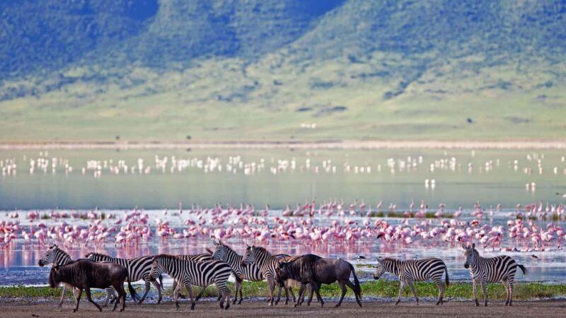 Arusha: 4-Day Safari to Tarangire, Ngorongoro & Lake Manyara - The Travel Experience: What We Loved and What to Consider
