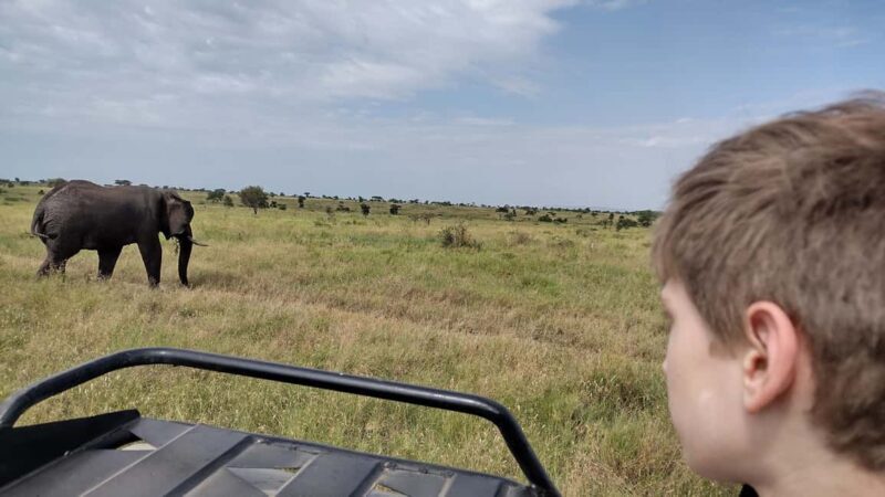 Arusha: 4-Day Serengeti, Ngorongoro & Tarangire Safari - Key Points