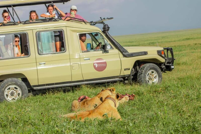 Arusha: 4-Day Tanzania Honeymoon Safari with Balloon Ride - Practical Details and Tips