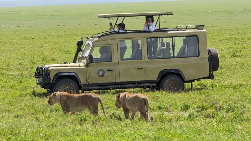 Arusha: 4-Day Tarangire, Serengeti, and Ngorongoro Safari - Key Points