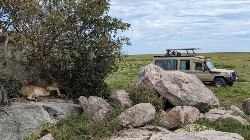 Arusha: 4-Day Tarangire, Serengeti, and Ngorongoro Safari - An In-Depth Look at the 4-Day Safari Itinerary