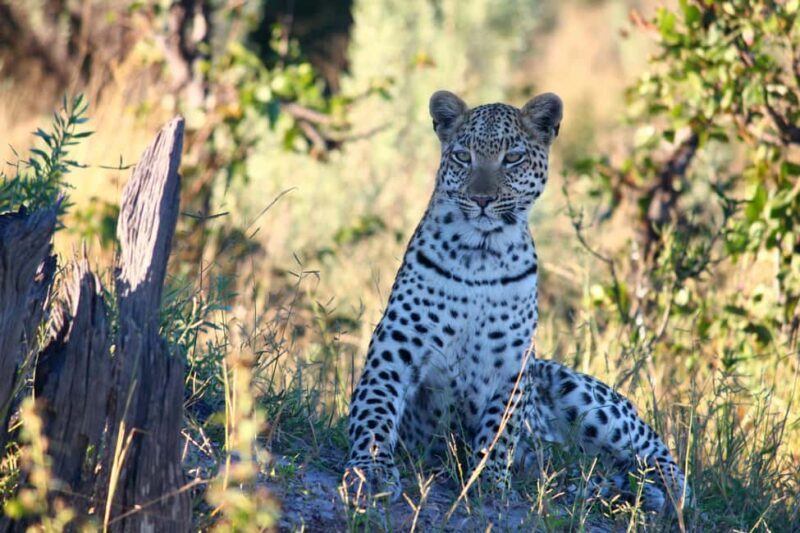 Arusha: 4 Days safari to Tarangire, Serengeti & Ngorongoro - What’s included and what’s not?