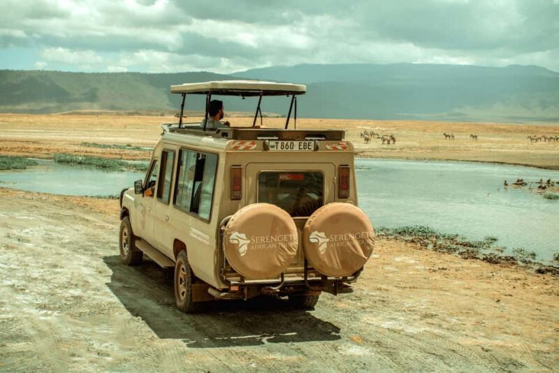Arusha: 5-Day Ndutu Calving Season Serengeti Safari - Key Points
