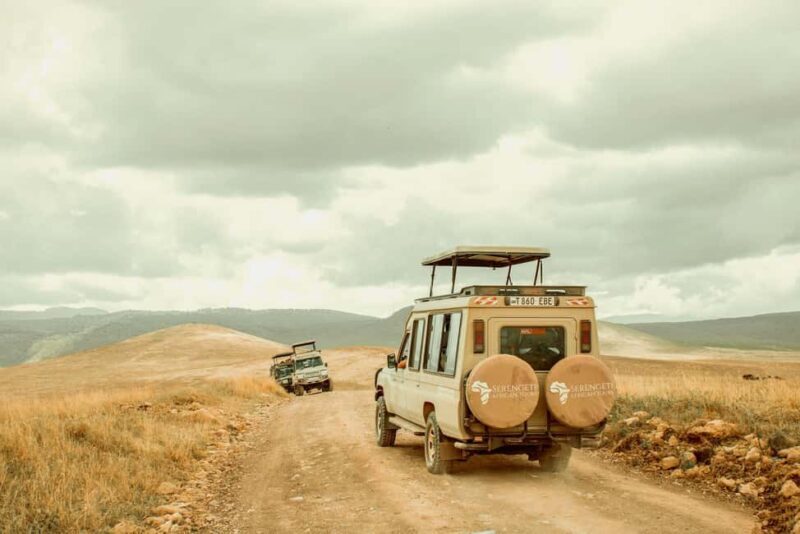 Arusha: 5-Day Ndutu Calving Season Serengeti Safari - Practical Aspects and Traveler Tips