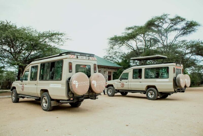 Arusha: 5-Day Ndutu Calving Season Serengeti Safari - Who Will Enjoy This Tour?