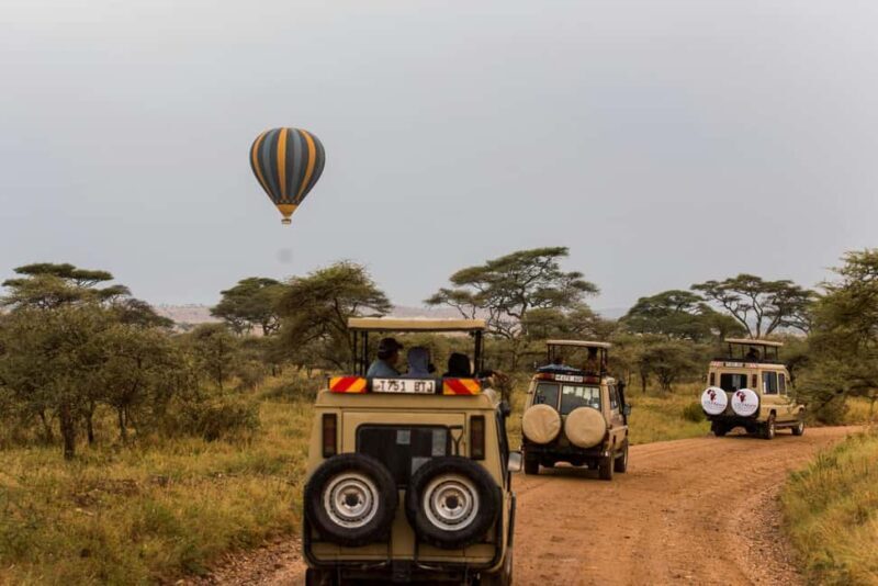 Arusha: 5-Day Safari to Tarangire, Serengeti, and Ngorongoro - Considering the Price: Is It Worth It?